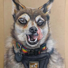 traditional art, coloured pencils, "gay dog" 2020